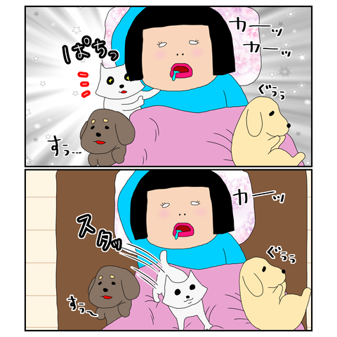 E3D948FE-F9F4-4B06-897E-06671C63E1D6