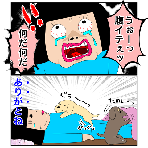 48C95794-9E90-400A-8CBF-AC9D6D436E57