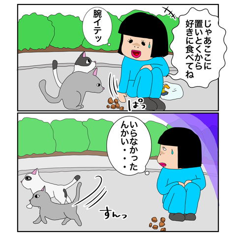 253272ED-06C4-4513-82BE-307AD5567DED