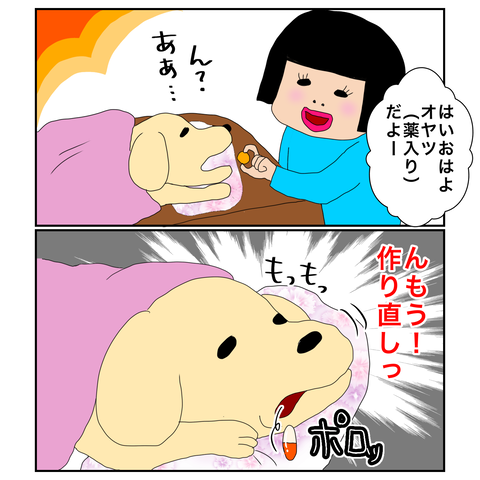 097AD6B5-29BB-4D0E-A72C-64D3C4DBBF46