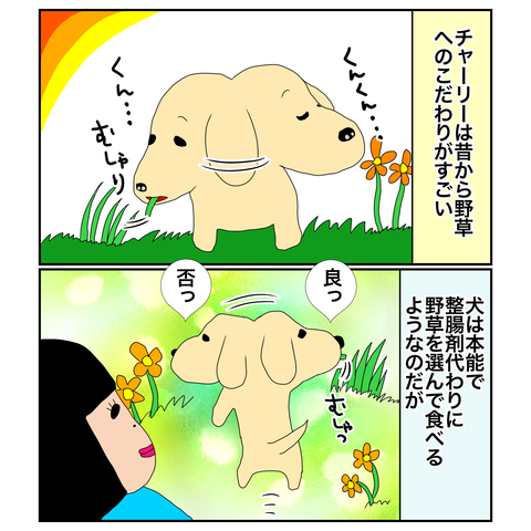 9CC0E5BC-D5B6-42CE-9AF0-84A6F8F3FB75