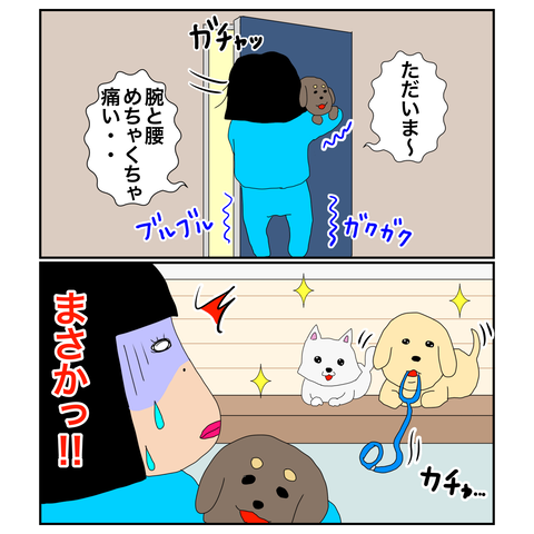 BC6A7264-6796-496A-8B03-F30FB8185AA2