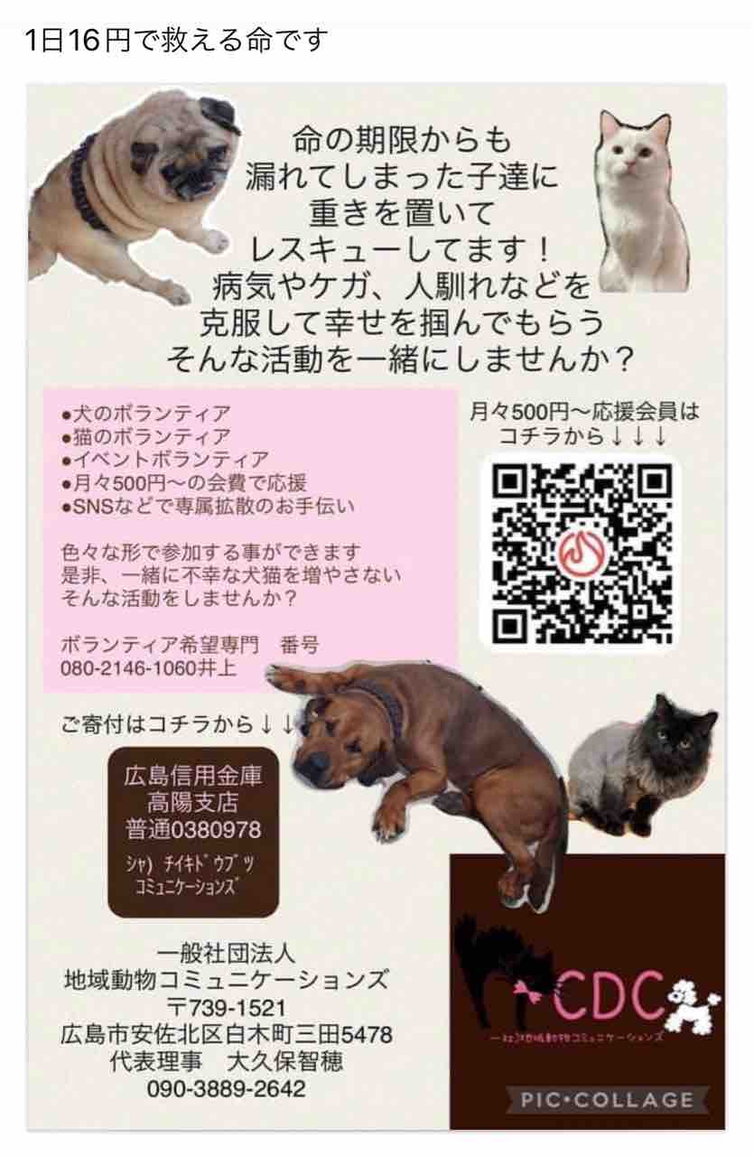 怪しい団体ですって : (社)アニマルパレス