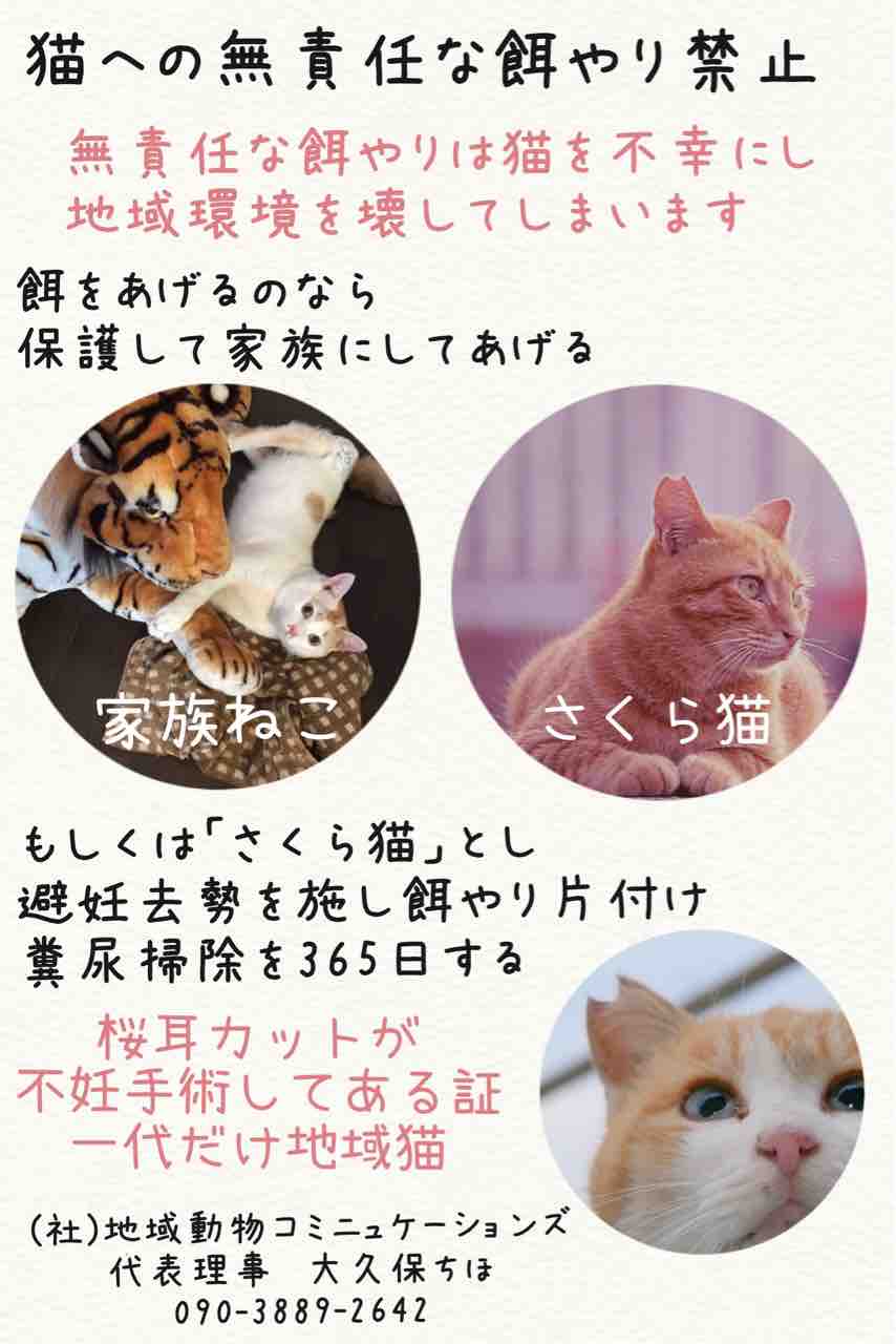 さくら猫のおかげ 社 地域動物コミュニケーションズ Ponny