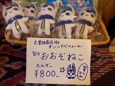 DSCN5621