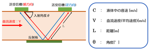 ③トランジットタイム型血流計測定原理