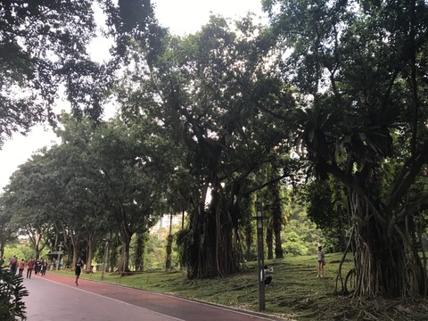 台湾&クアラルンプール 2019年ゴールデンウィーク_190605_0571