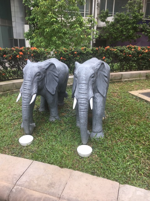 台湾&クアラルンプール 2019年ゴールデンウィーク_190506_0124