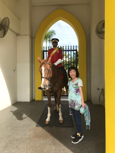 台湾&クアラルンプール 2019年ゴールデンウィーク_190506_0413