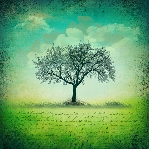 background-1778383_1280