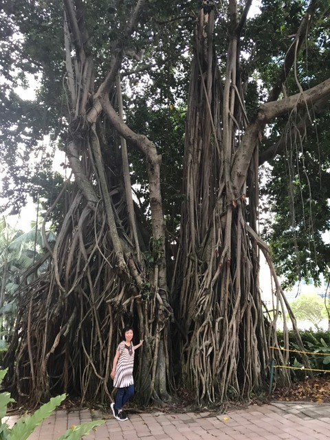 台湾&クアラルンプール 2019年ゴールデンウィーク_190605_0574
