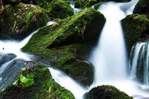 creek-21749_960_720