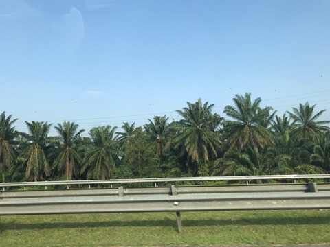 台湾&クアラルンプール 2019年ゴールデンウィーク_190605_0547