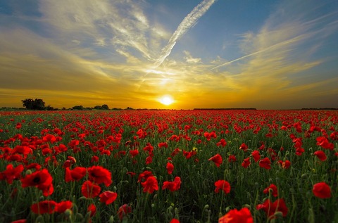 sunset-815270_960_720