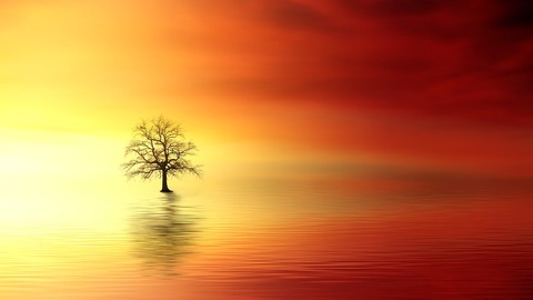 sunset-3156440_1280