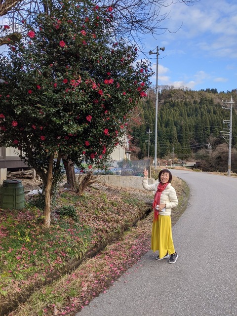 宮島温泉滝乃荘と小矢部_200101_0042