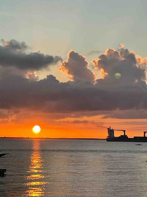 81671385-8308-4B02-9D55-011592A06AA4