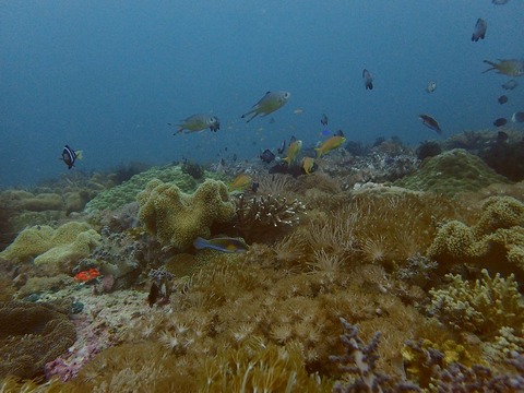 PC182429