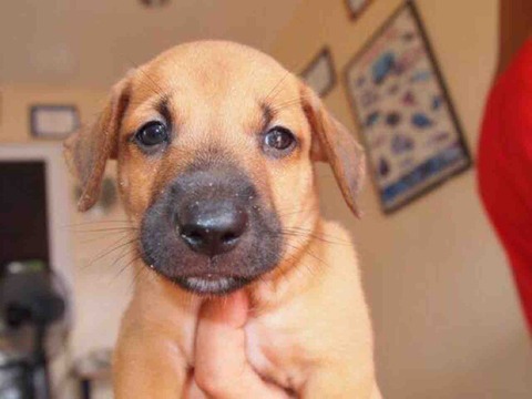 34DCF49F-D78B-4556-B4A5-56DBBEA278D8