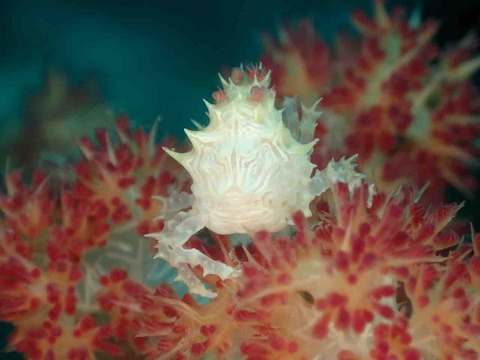 P9232404