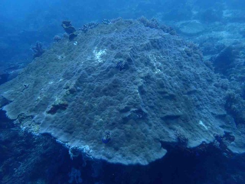 P9280053