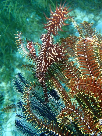 P1170490