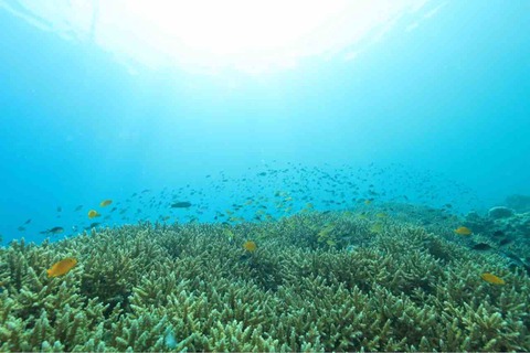 001CA80D-756B-4CF4-8939-B914E3F44645