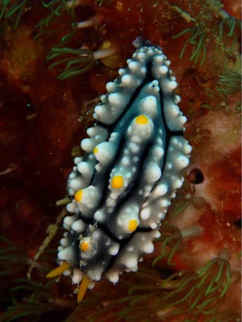 IMG_5933