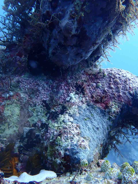 P6085901