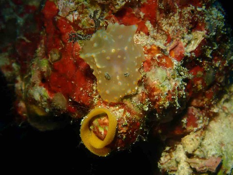 PB051124