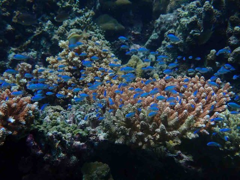 P6086134