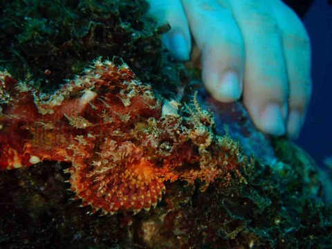 P9290155