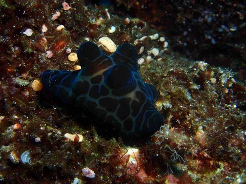 P9202234