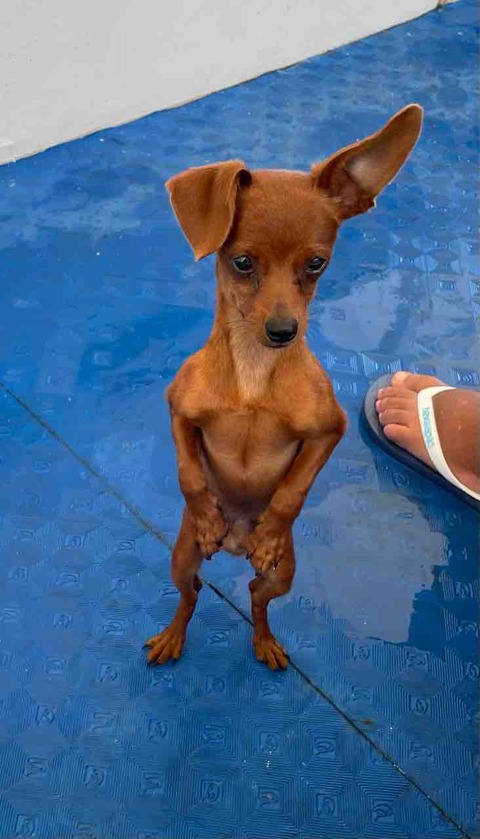 FullSizeRender
