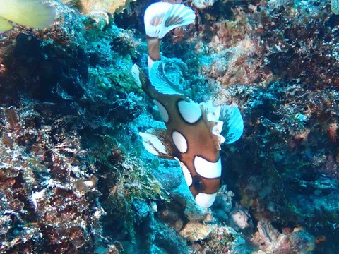 P9120289