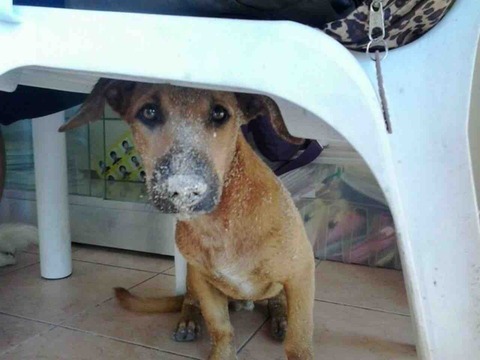 DA7A454C-0C09-40E4-8C76-36573A1766B5