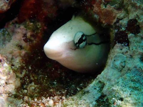 P9220280