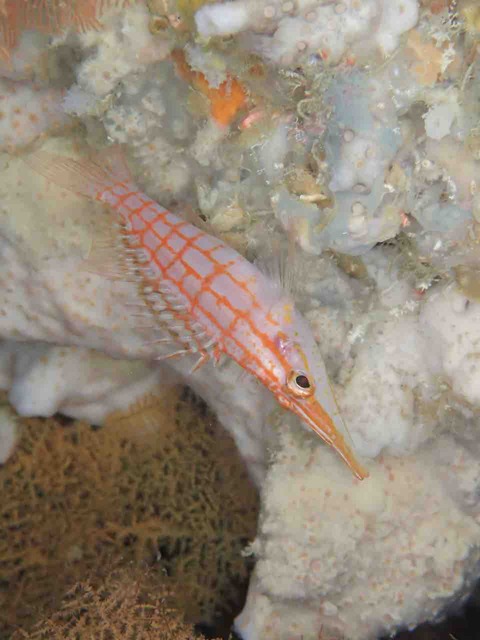 P9232352