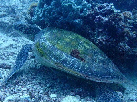 IMG_3513