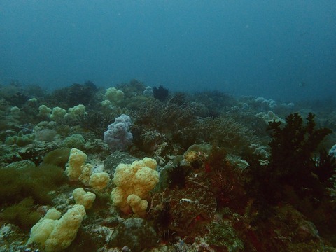 PC182408