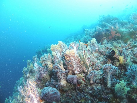 DSCF9156