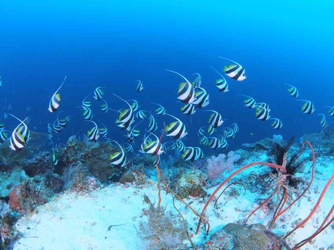 P9230469