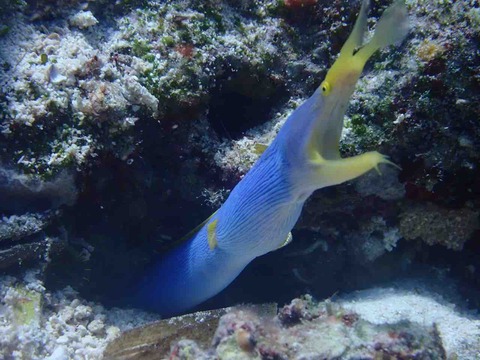 PB051140