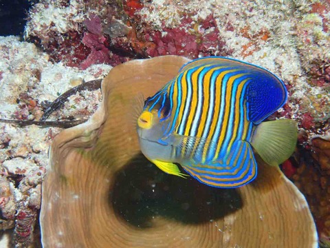 P9210062