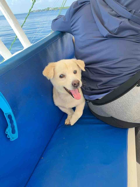 CCA08896-9C06-40ED-A2EA-8E254A483E8C