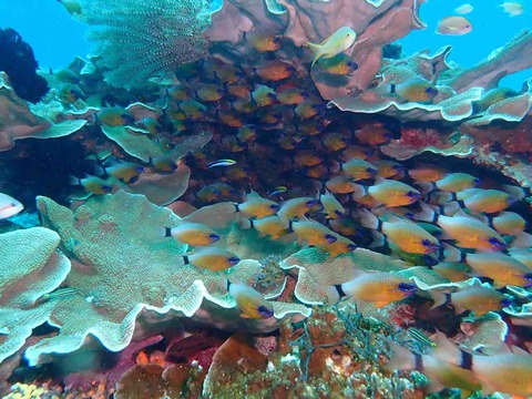 P9220200