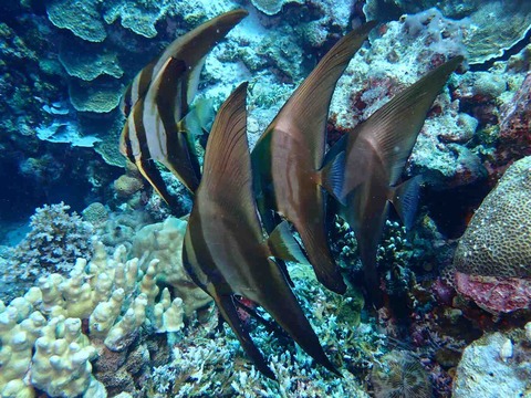 P4190233