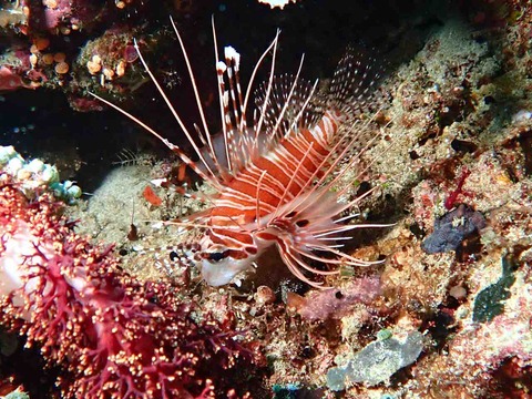 P9120397