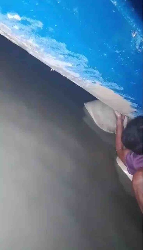 FullSizeRender