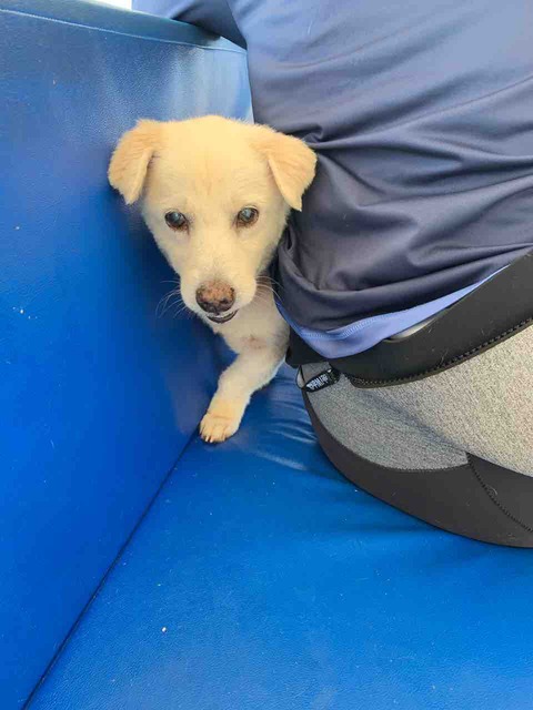 CA0B26FB-0A5A-4B98-8489-AA9BD7EFDD80